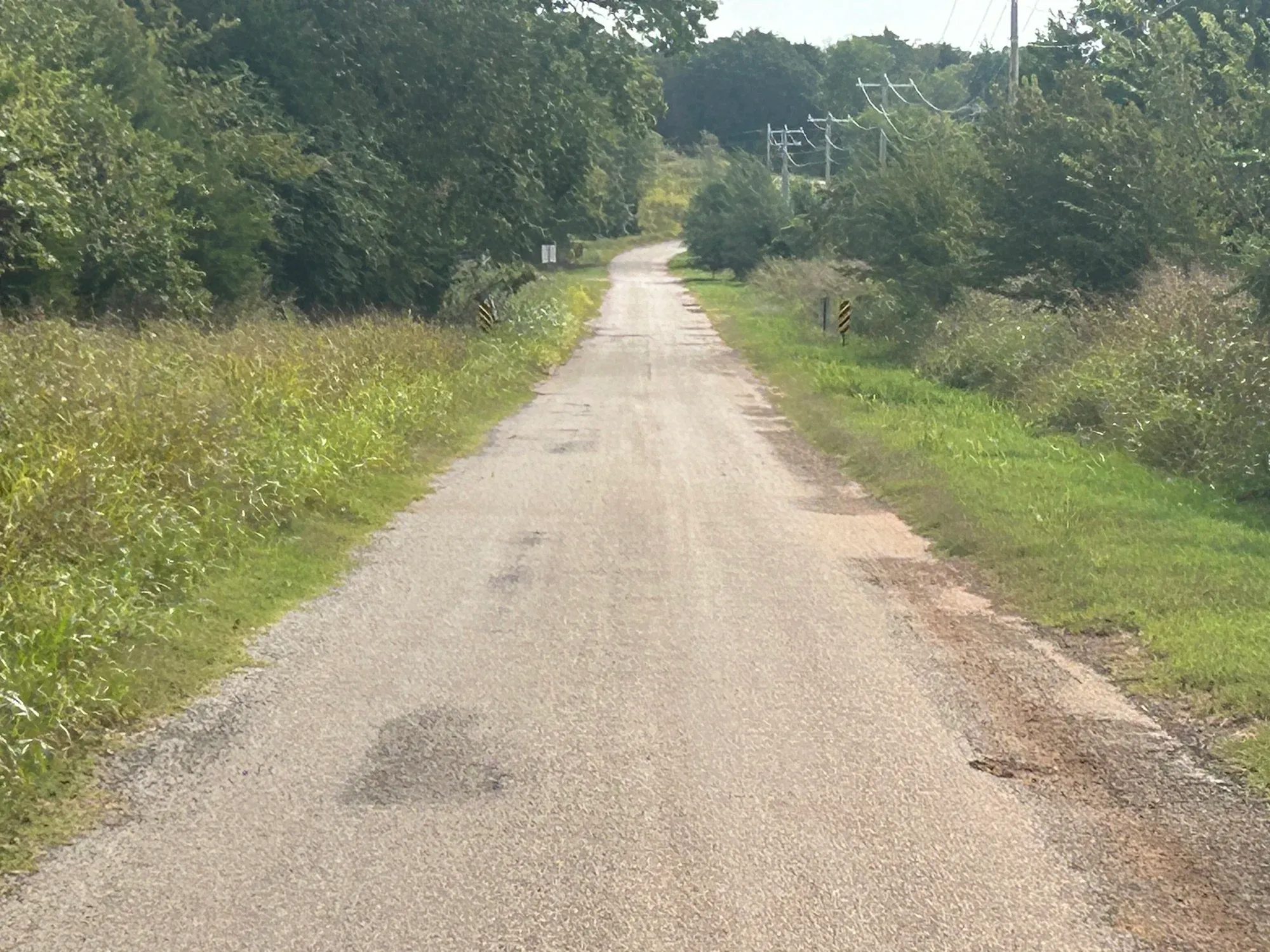 A narrow rural road and bridge approach with roadside vegetation