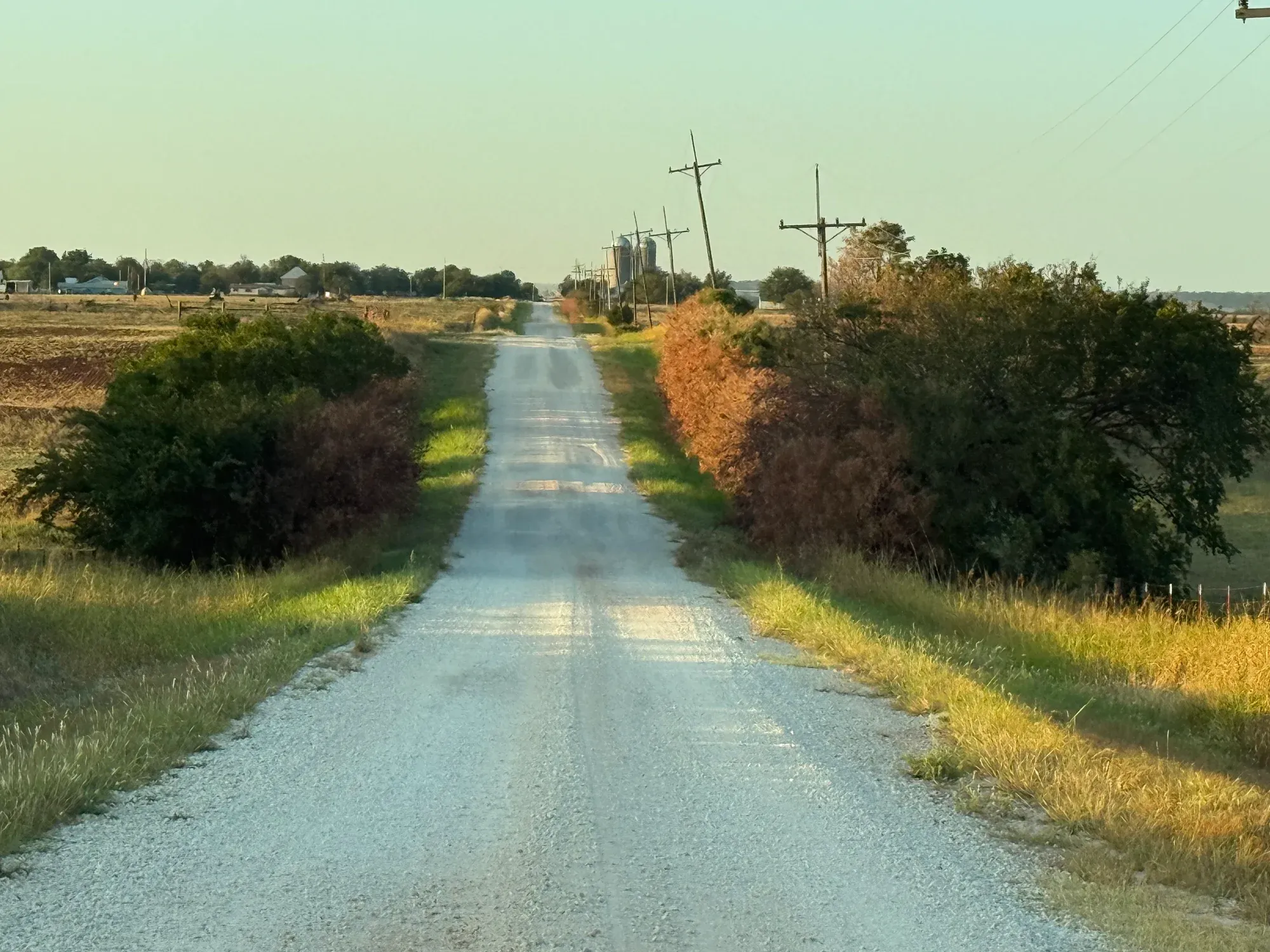 A gravel road bordered by woody brush with green and brown foliage on both sides
