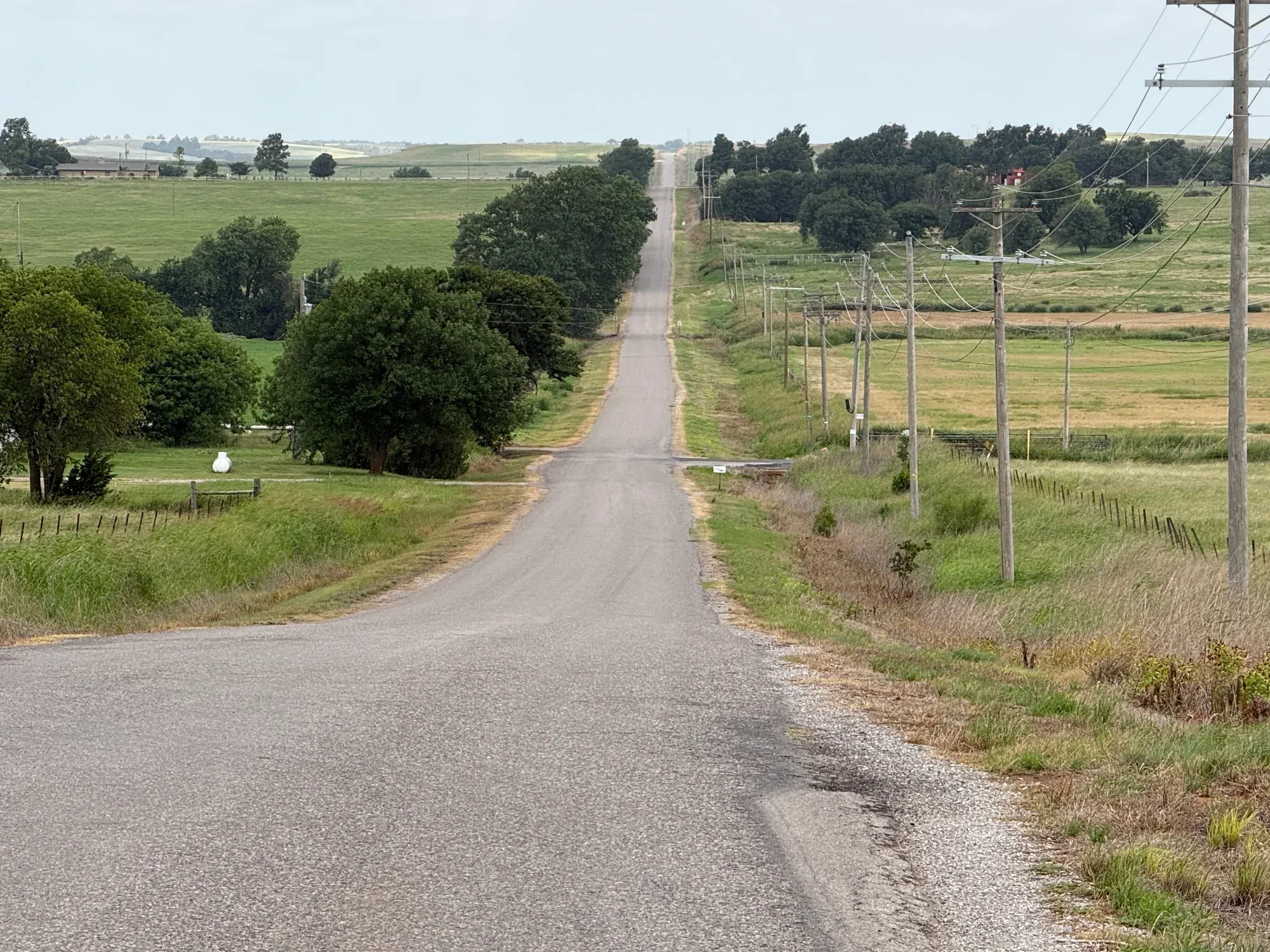 A county road through rolling pasture with vegetation along the shoulders