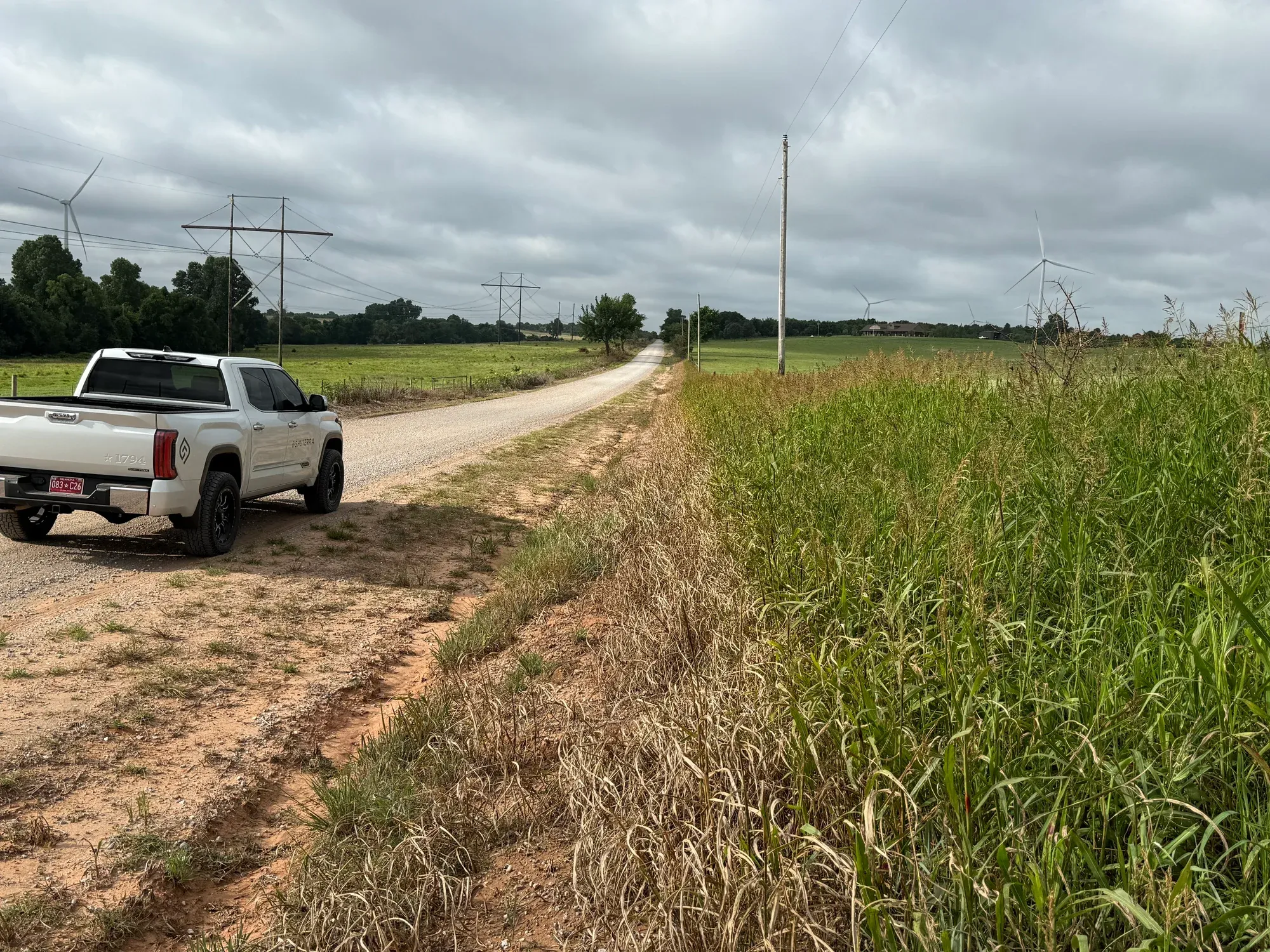 A Shuterra pickup parked beside roadside vegetation on a rural road